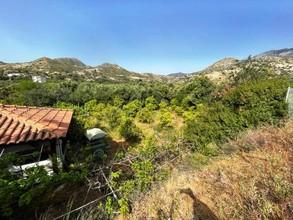 Αγροτεμάχια 3.700 τ.μ. για πώληση