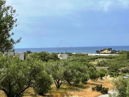 Land plot 1.000 sqm for sale