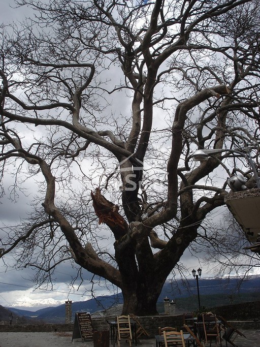 Land plot 400sqm for sale-Kentriko Zagori