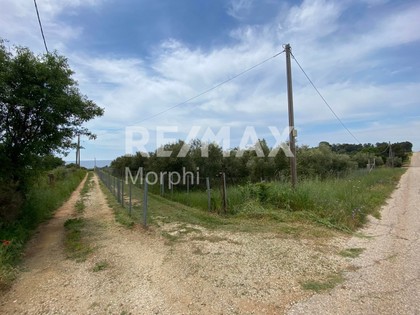 Land plot 4.359sqm for sale-Maroneia » Platanitis