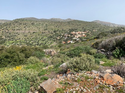 Land plot 3.700sqm for sale-Agios Nikolaos » Kato Pines