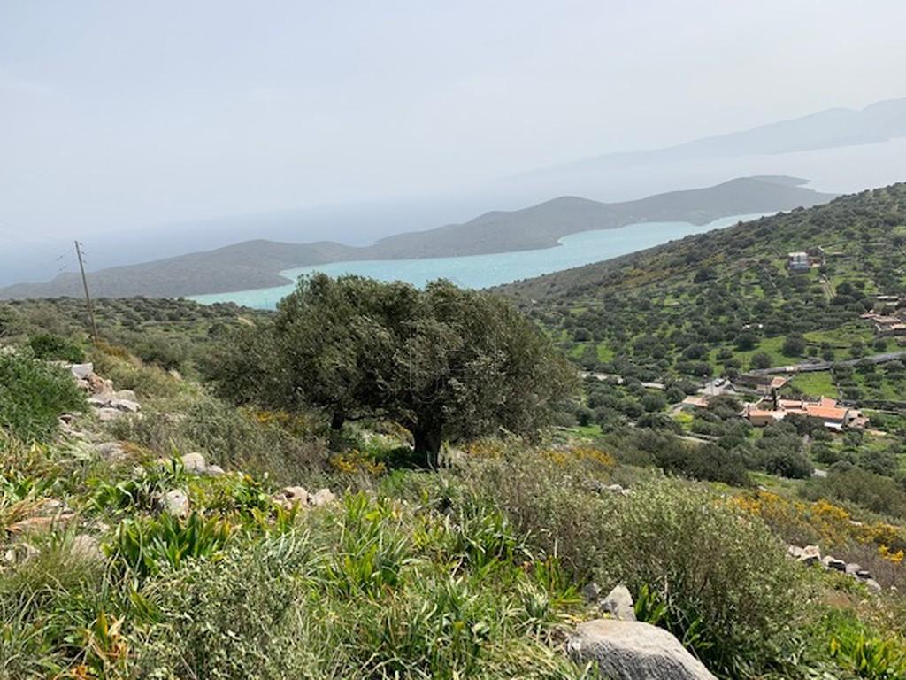 Οικόπεδο 10.800 τ.μ. πρός πώληση, Ν. Λασιθίου, Άγιος Νικόλαος