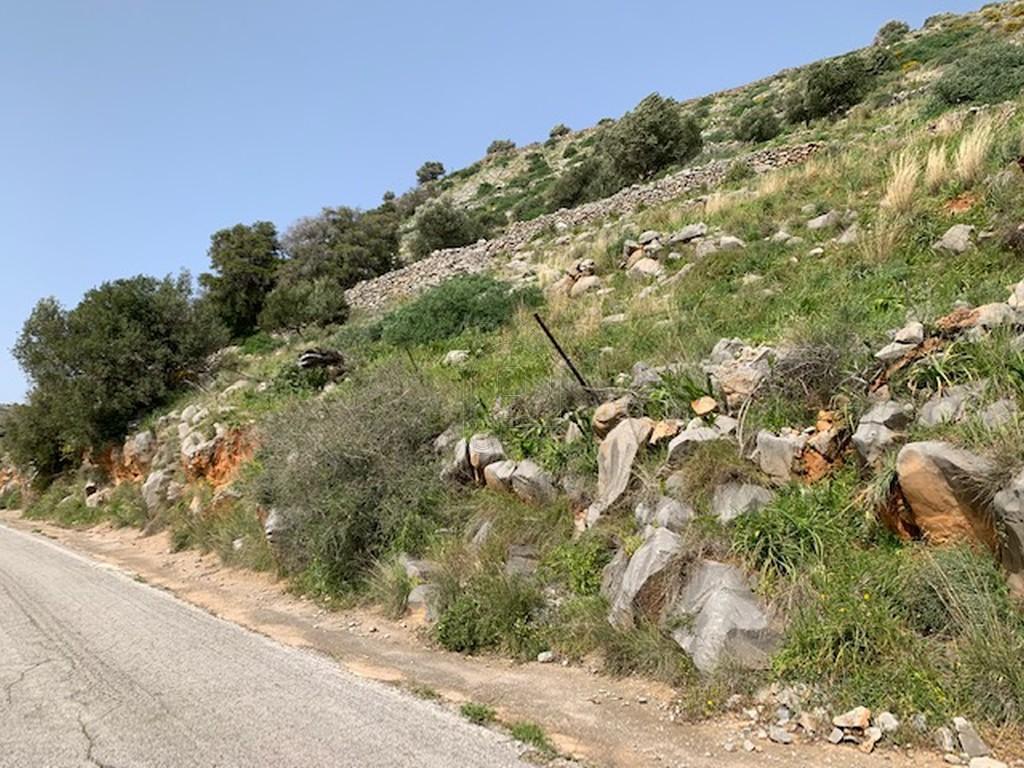 Οικόπεδο 10.800 τ.μ. πρός πώληση, Ν. Λασιθίου, Άγιος Νικόλαος