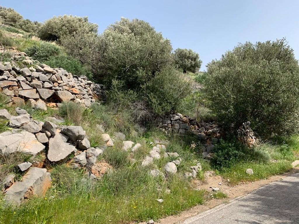 Οικόπεδο 10.800 τ.μ. πρός πώληση, Ν. Λασιθίου, Άγιος Νικόλαος