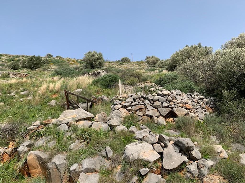 Οικόπεδο 10.800 τ.μ. πρός πώληση, Ν. Λασιθίου, Άγιος Νικόλαος
