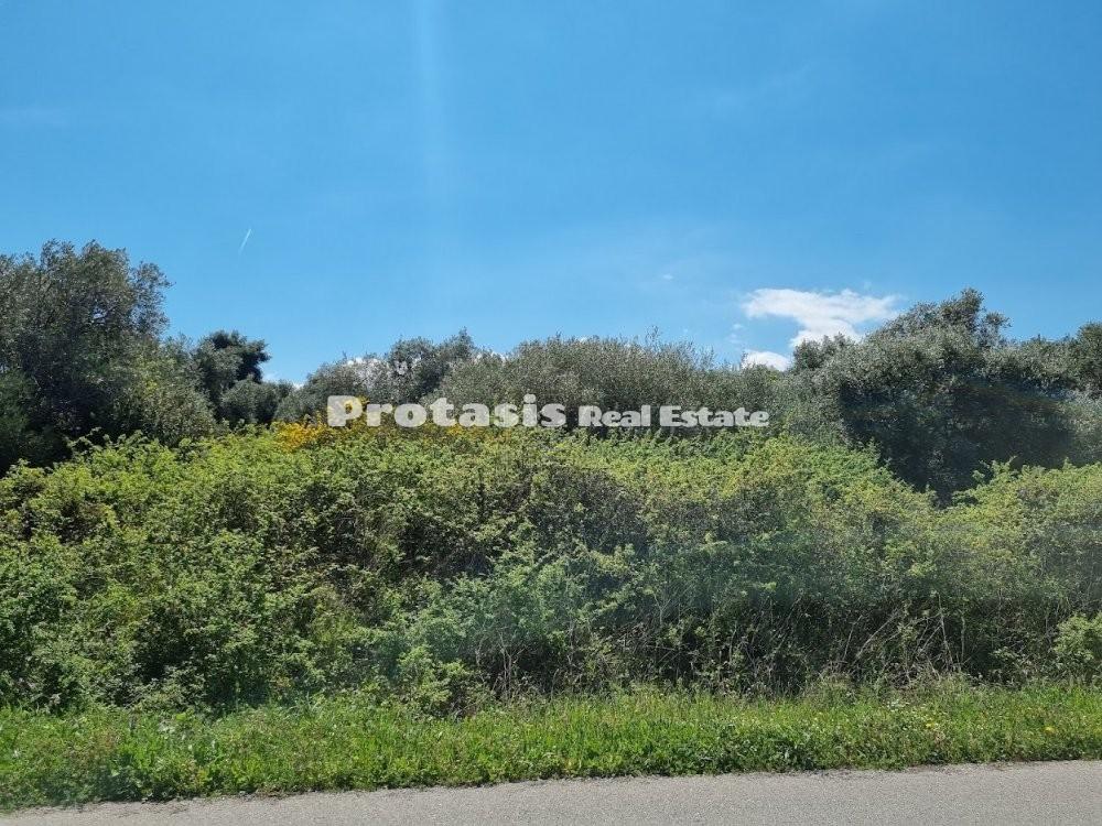Οικόπεδο 4.990 τ.μ. προς πώληση, Κεφαλές