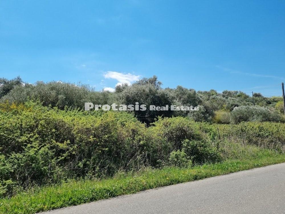 Οικόπεδο 4.990 τ.μ. προς πώληση, Κεφαλές