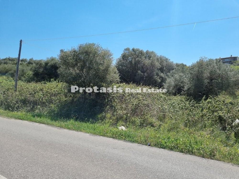 Οικόπεδο 4.990 τ.μ. προς πώληση, Κεφαλές