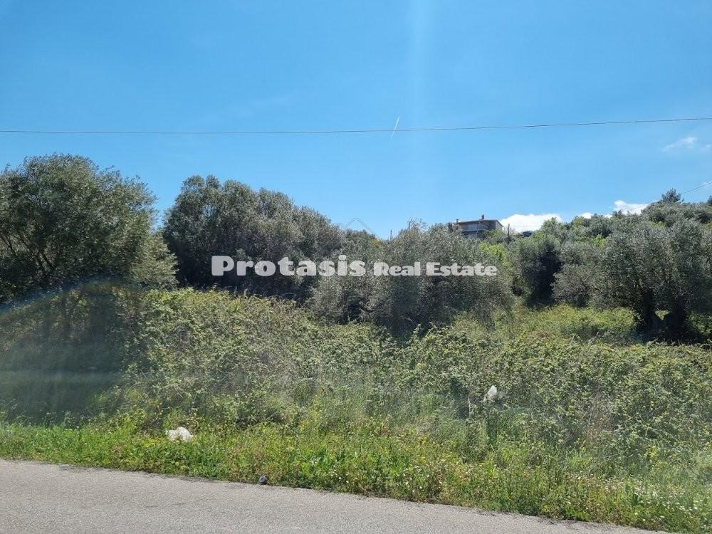 Οικόπεδο 4.990 τ.μ. προς πώληση, Κεφαλές