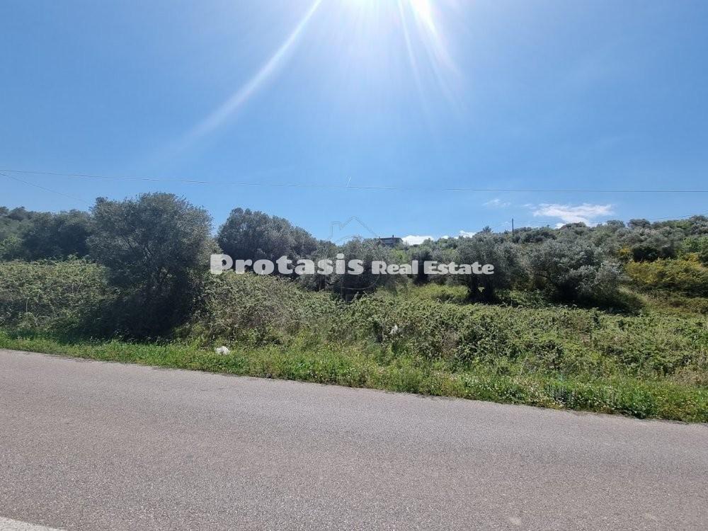 Οικόπεδο 4.990 τ.μ. προς πώληση, Κεφαλές