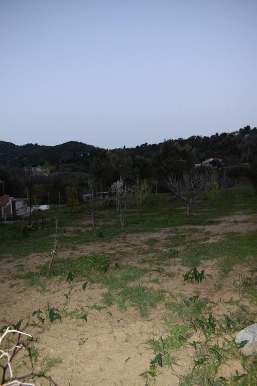 Οικόπεδο 1.500 τ.μ. προς πώληση, Αγία Μαρίνα Κύμης