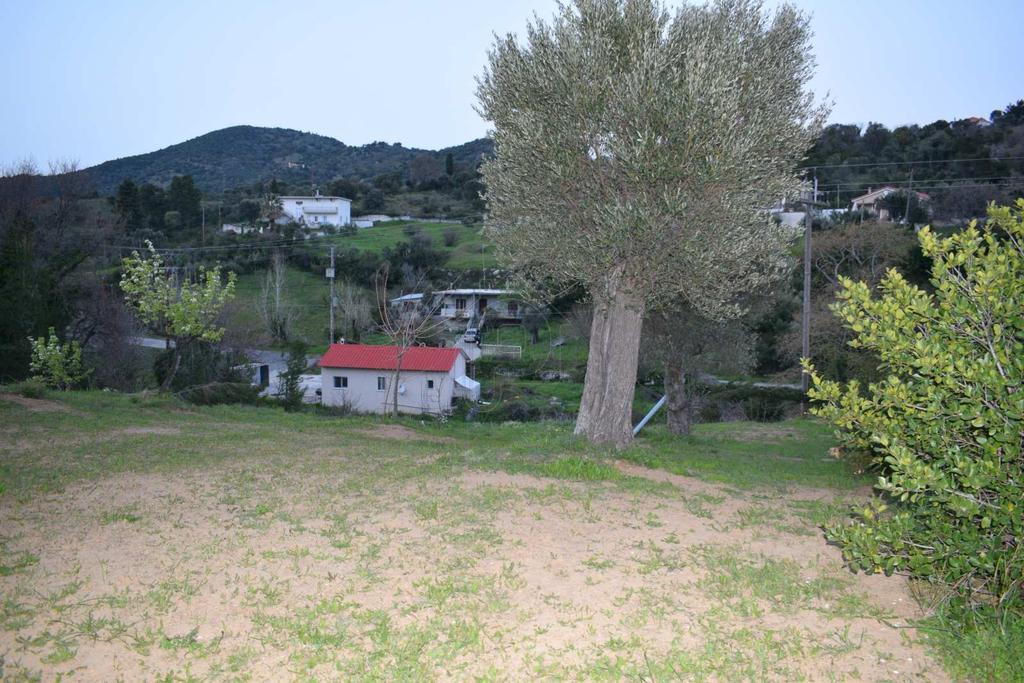 Οικόπεδο 1.500 τ.μ. προς πώληση, Αγία Μαρίνα Κύμης