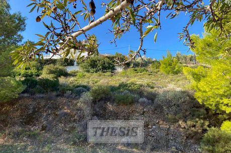 Land plot 532sqm for sale-Rafina » Kalitexnoupoli