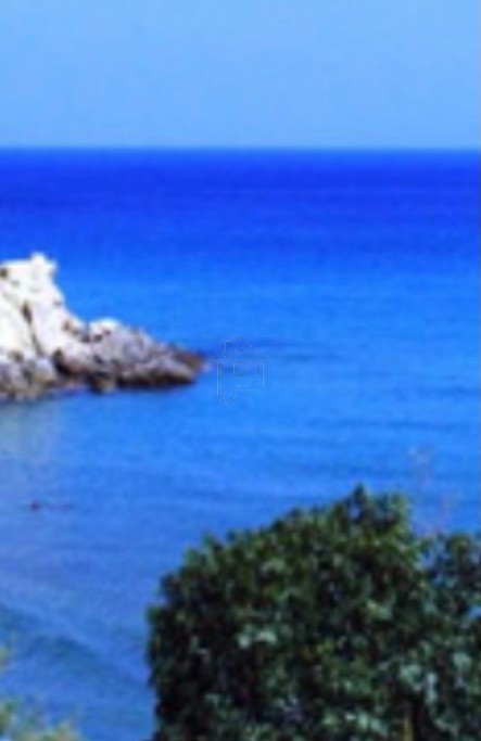 Οικόπεδο 120.000 τ.μ. για πώληση