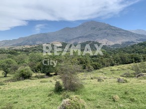 Αγροτεμάχια 9.000τ.μ. για πώληση-Σαμοθράκη » Κατσαμπάς