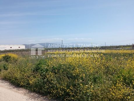Αγροτεμάχια 8.953τ.μ. για πώληση-Νέα αγχίαλος » Μικροθήβες