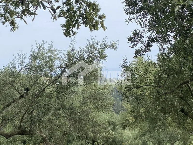 Land plot 1.226 sqm for sale, Zante, Arkadi