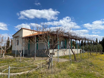 Detached home 80sqm for sale-Maroneia » Alkion