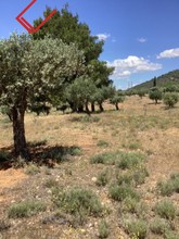 Parcel 17.000sqm for sale-Kalivia Thorikou » Κέντρο