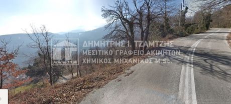 Αγροτεμάχια 4.010τ.μ. για πώληση-Ζαγορά » Μακρυρράχη