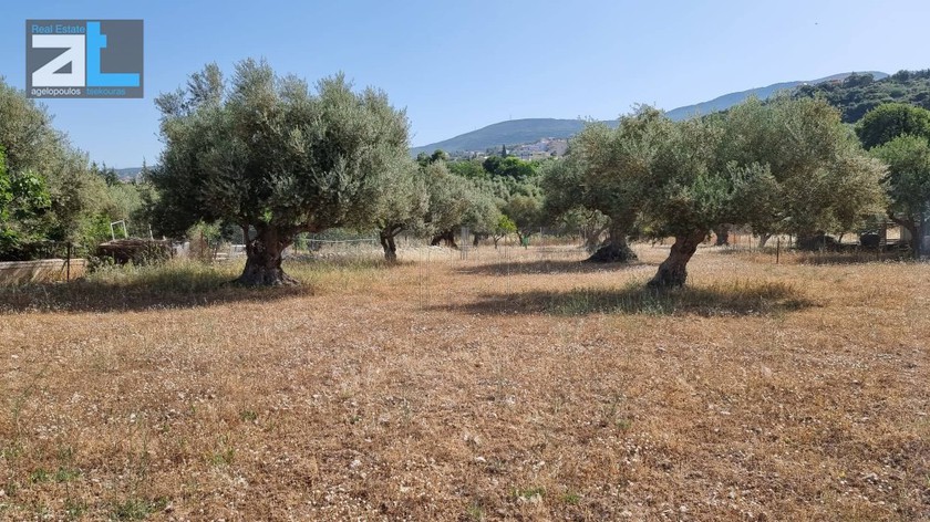 Οικόπεδο 358 τ.μ. για πώληση, Αχαΐα, Μεσσατίδα