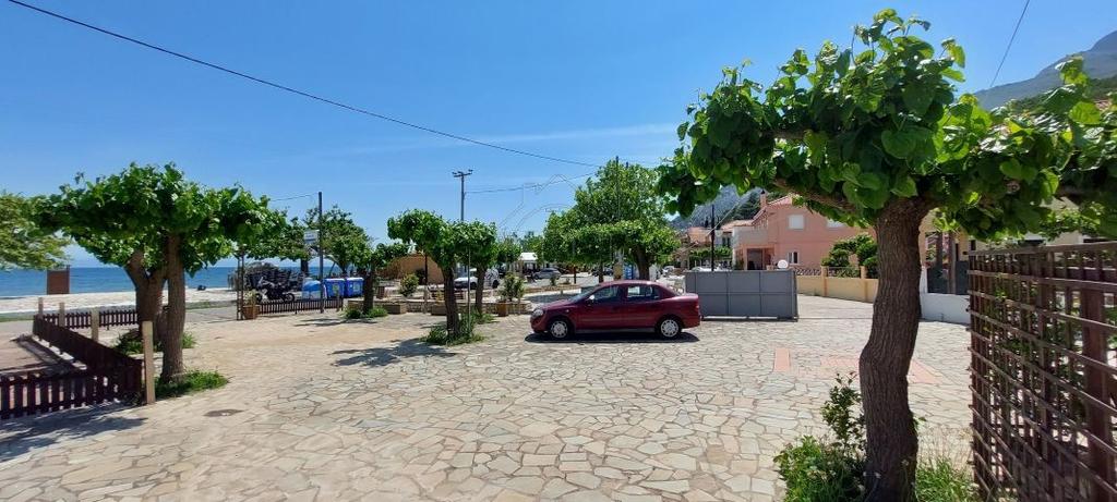 Κατάστημα 500 τ.μ. προς ενοικίαση, Κάτω Βασιλική