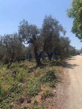 Land plot 7.503sqm for sale-Sipiada » Liri