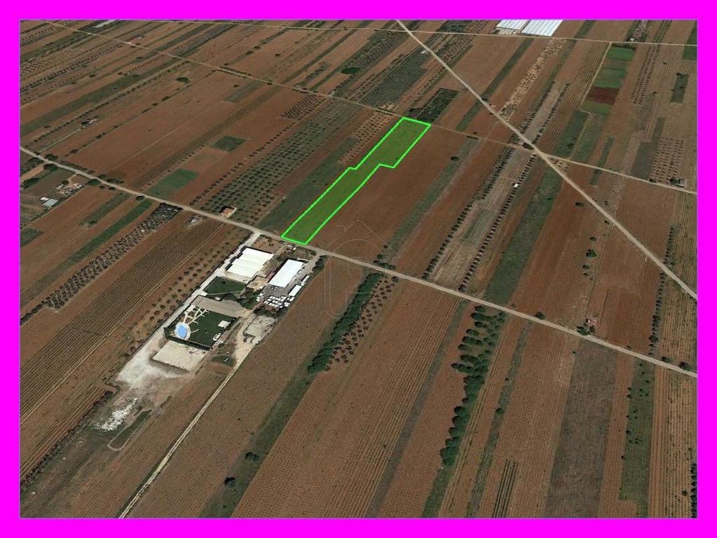 Αγροτεμάχια 9.500 τ.μ. προς πώληση, Αθήνα - Ανατολικά Προάστια, Σπάτα