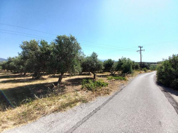 Οικόπεδο 8.300 τ.μ. για πώληση, Ν. Ρεθύμνου, Αρκάδι