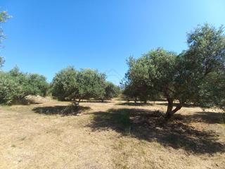 Οικόπεδο 8.300 τ.μ. για πώληση, Ν. Ρεθύμνου, Αρκάδι-thumb-2