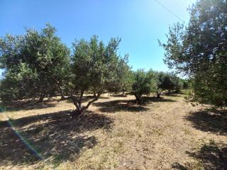 Οικόπεδο 8.300 τ.μ. για πώληση, Ν. Ρεθύμνου, Αρκάδι-thumb-3