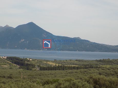 Οικόπεδο 2.296τ.μ. για πώληση-Εχιναίων » Ράχες