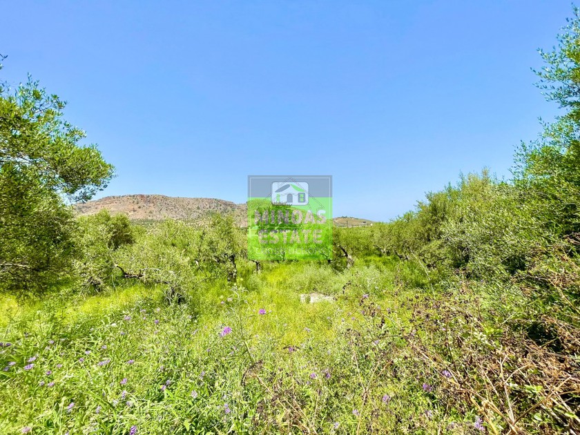 Land plot 5.000sqm for sale-Armenoi » Kalives
