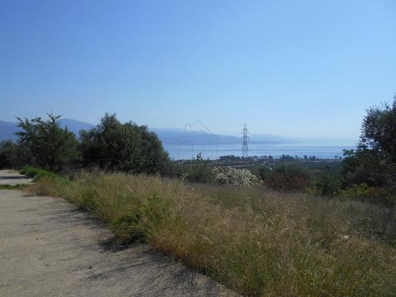 Οικόπεδο 500 τ.μ. για πώληση, Αχαΐα, Αιγιάλεια