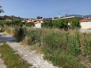 Οικόπεδο 694 τ.μ. πρός πώληση, Αττική - Υπόλοιπο, Αλεποχώρι-thumb-9