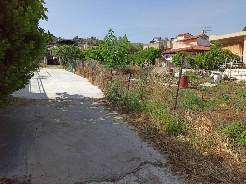 Οικόπεδο 694 τ.μ. πρός πώληση, Αττική - Υπόλοιπο, Αλεποχώρι