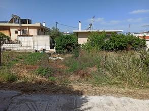 Οικόπεδο 694 τ.μ. πρός πώληση, Αττική - Υπόλοιπο, Αλεποχώρι-thumb-11