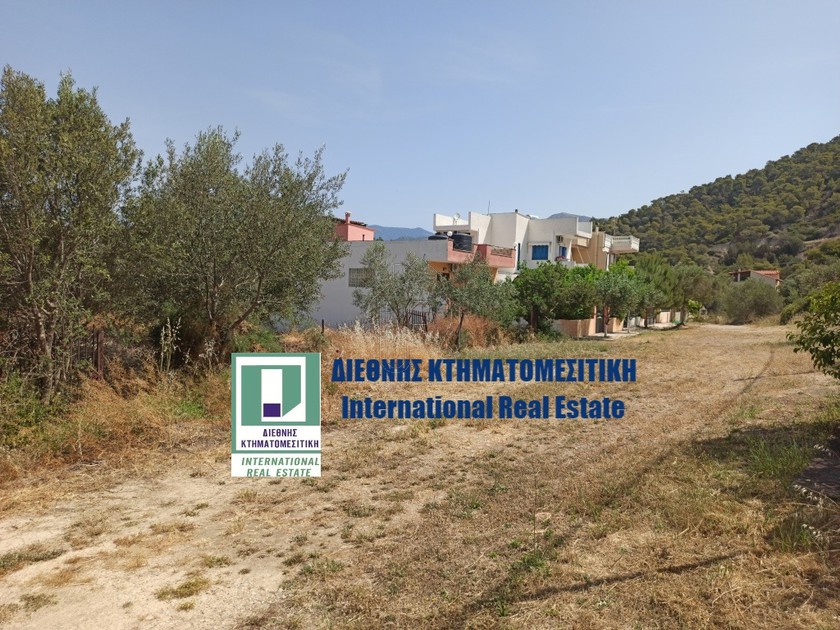 Οικόπεδο 402τ.μ. για πώληση-Αλεποχώρι