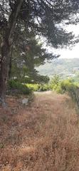 Οικόπεδο 2.500 τ.μ. για πώληση