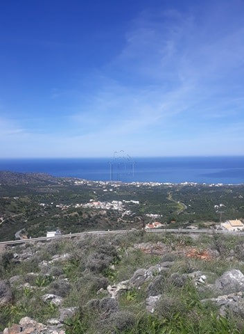 Land plot 620.000sqm for sale-Vrachasi » Epano Sisi