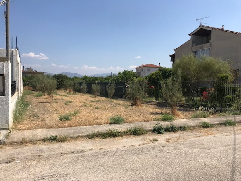 Οικόπεδο 188τ.μ. για πώληση-Βέλο » Κρήνες