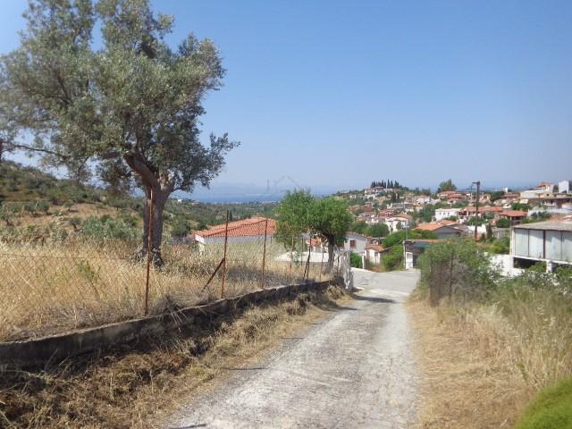 Οικόπεδο 511 τ.μ. για πώληση, Εύβοια, Αμάρυνθος