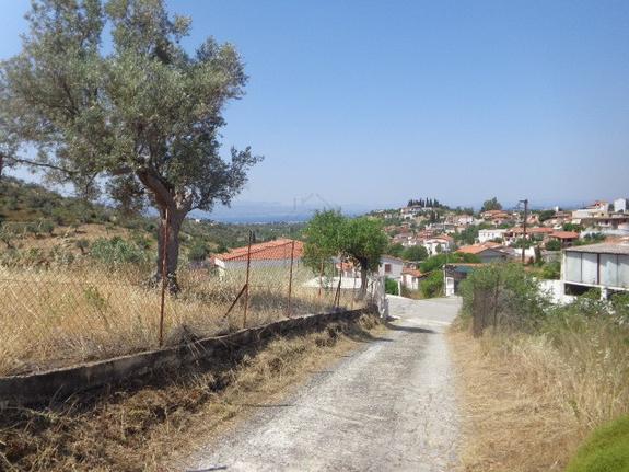 Οικόπεδο 511 τ.μ. για πώληση, Εύβοια, Αμάρυνθος