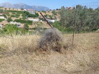Οικόπεδο 511 τ.μ. για πώληση, Εύβοια, Αμάρυνθος-thumb-2