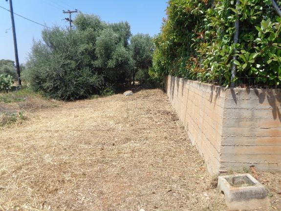 Αγροτεμάχια 500 τ.μ. για πώληση, Εύβοια, Ερέτρια