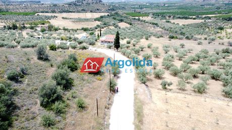 Αγροτεμάχια 7.400τ.μ. για πώληση-Νέα τίρυνθα » Προφήτης ηλίας