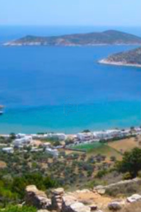 Οικόπεδο 22.000 τ.μ. για πώληση