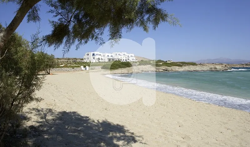 Land plot 6.000 sqm for sale, Cyclades, Schoinousa