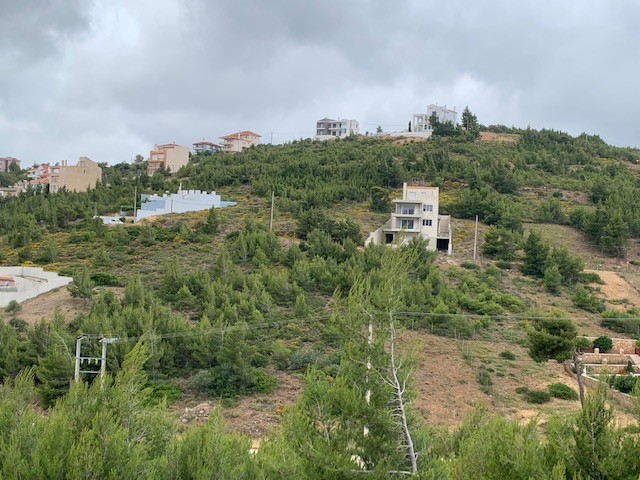 Οικόπεδο 500τ.μ. για πώληση-Πικέρμι » Διώνη