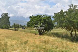 Αγροτεμάχια 24.000 τ.μ. για ενοικίαση, Ν. Ιωαννίνων, Ιωάννινα-thumb-11